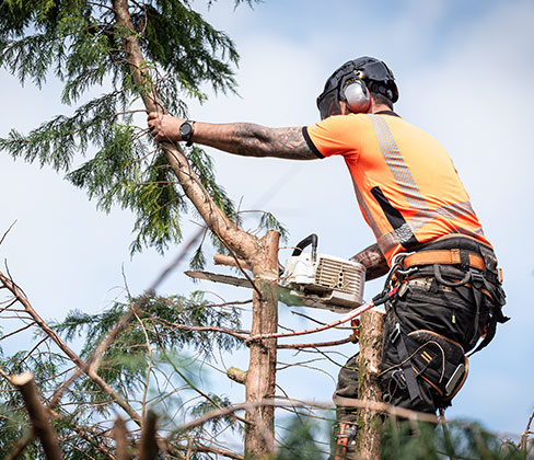 Entretien d’espaces verts à Anse