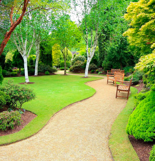 Création d’espaces verts à Anse