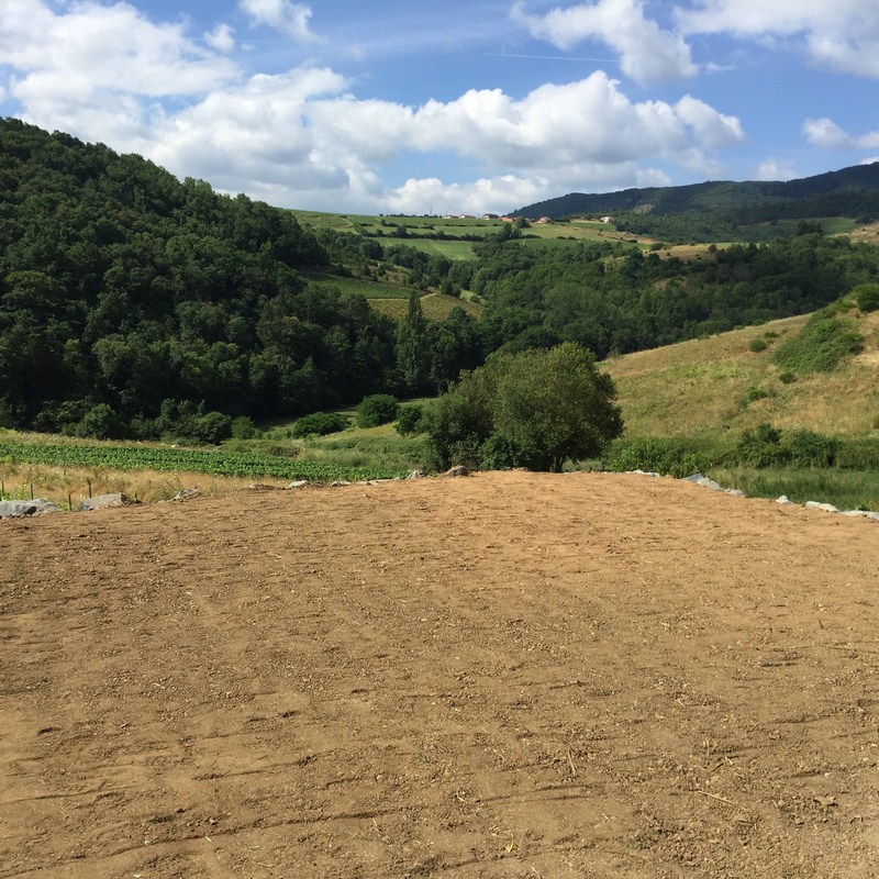 Création d'espace vert Limas