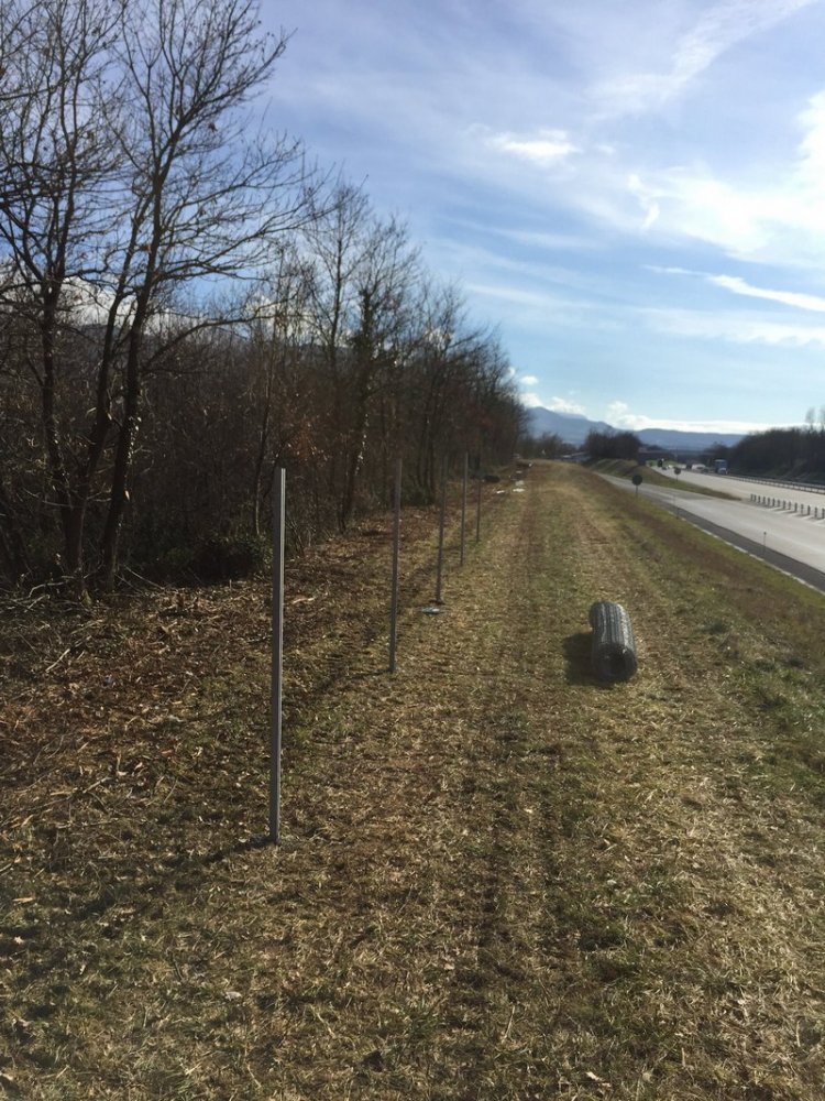 Création de massif Anse