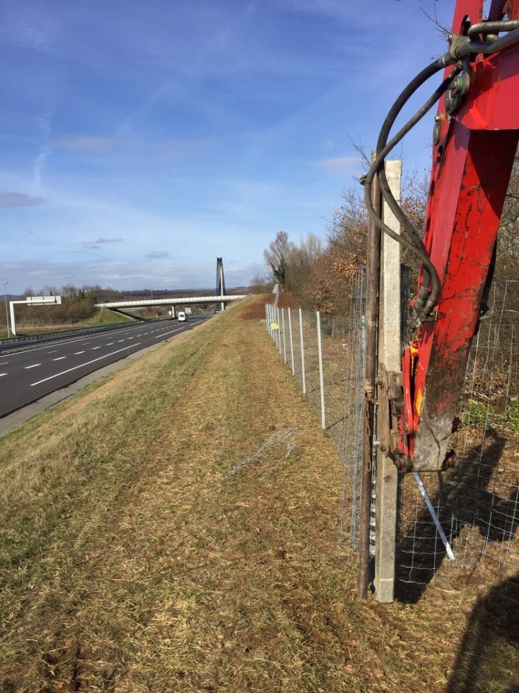  Création paysagère Trévoux