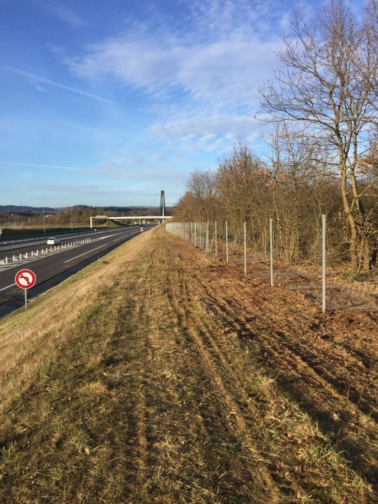 Création de massif Villefranche-sur-Saône