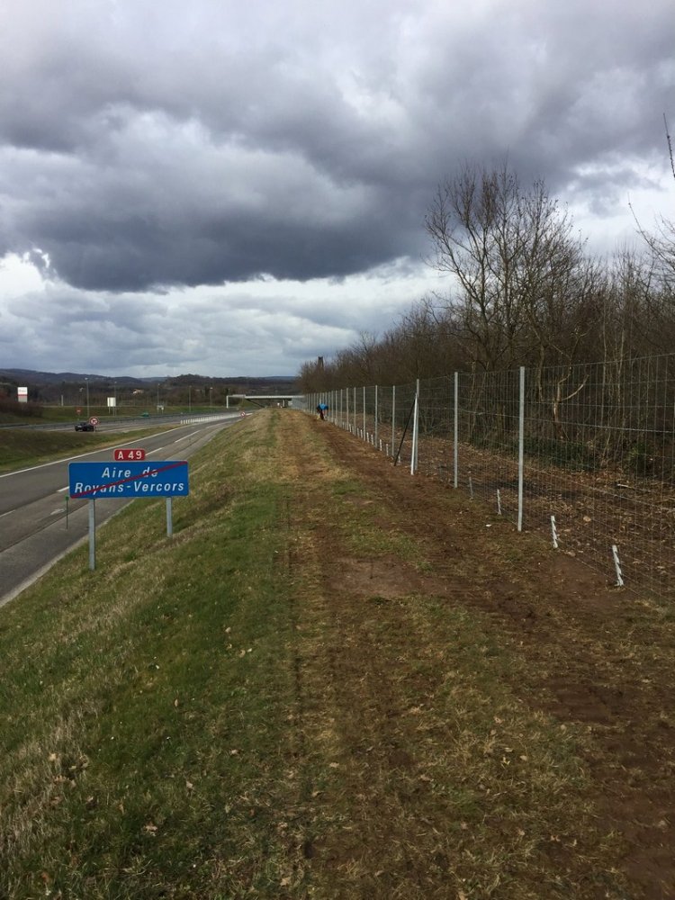 Création paysagère Gleizé