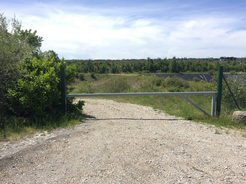 Création de massif Trévoux