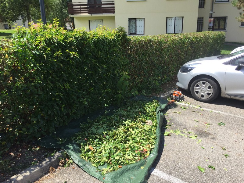 Taille Villefranche-sur-Saône