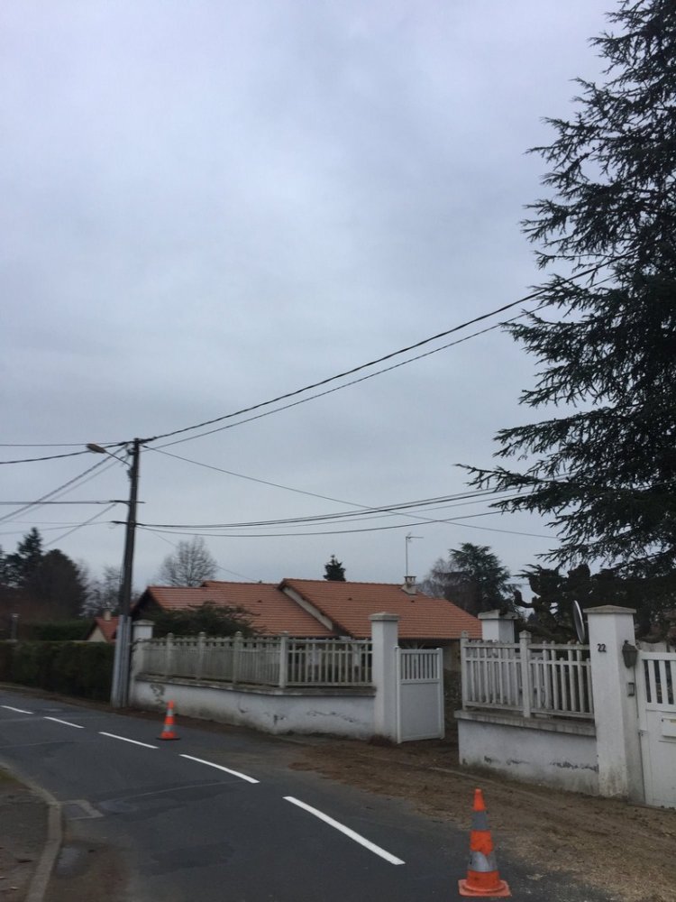 Abattage d'arbre Gleizé