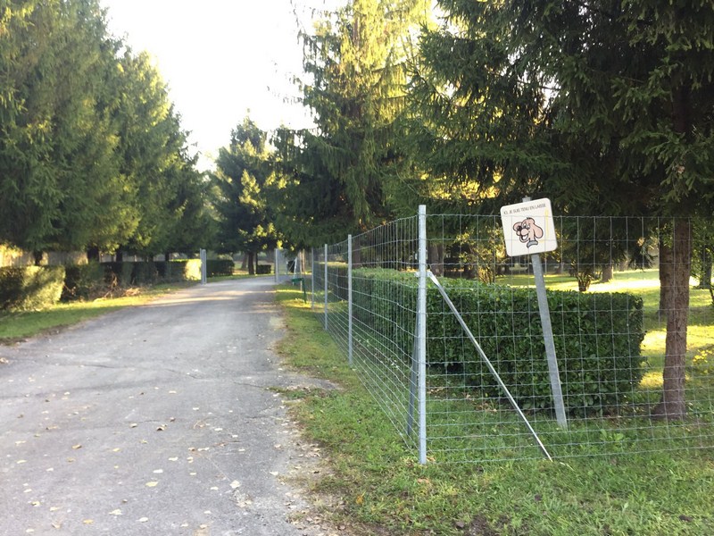 Création d'allée Villefranche-sur-Saône