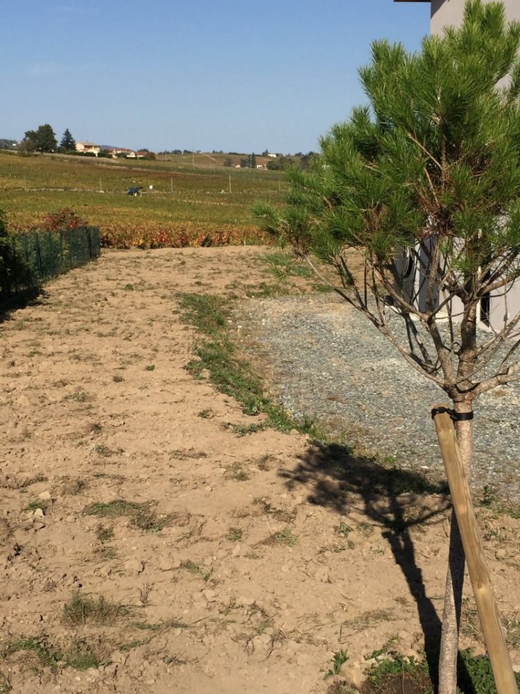 Création de dallage Jassans-Riottier