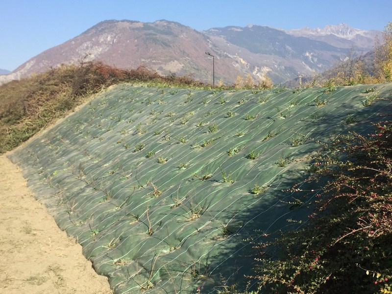 Création de dallage Anse