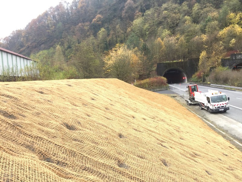 Création d'allée Trévoux