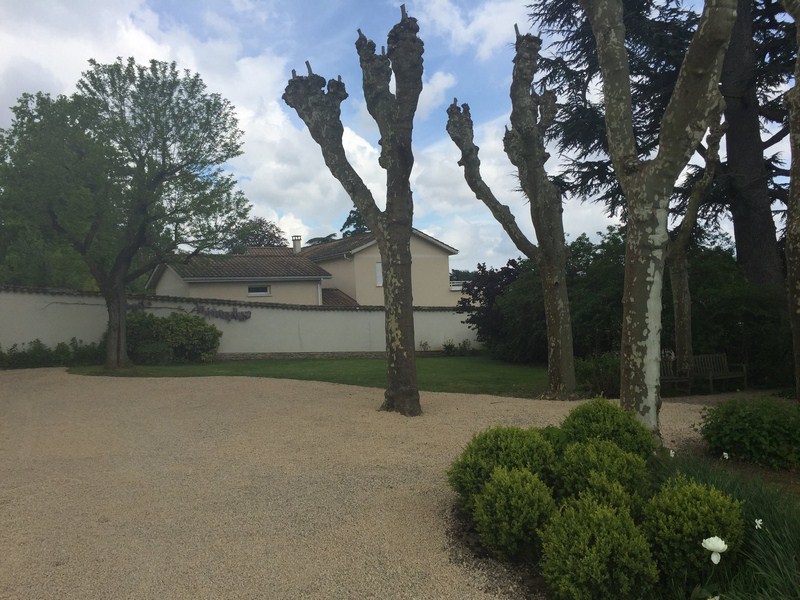 Création d'espace vert Anse